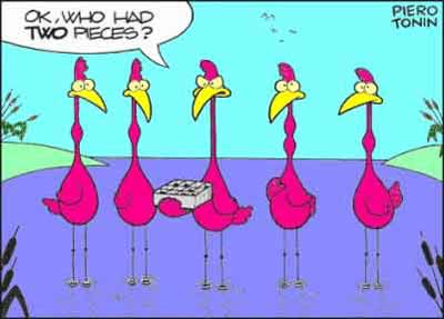 twopieces.jpg twopieces.jpg