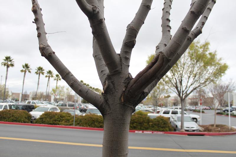 20120324-IMG_6675.jpg 20120324-IMG_6675.jpg