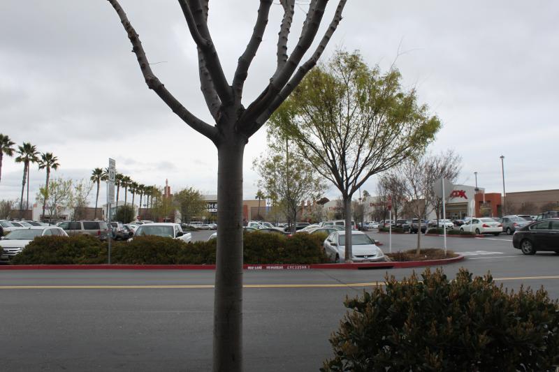 20120324-IMG_6686.jpg 20120324-IMG_6686.jpg