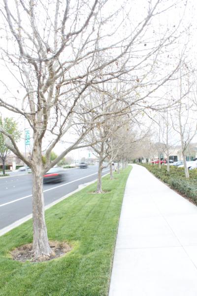 20120324-IMG_6746.jpg 20120324-IMG_6746.jpg