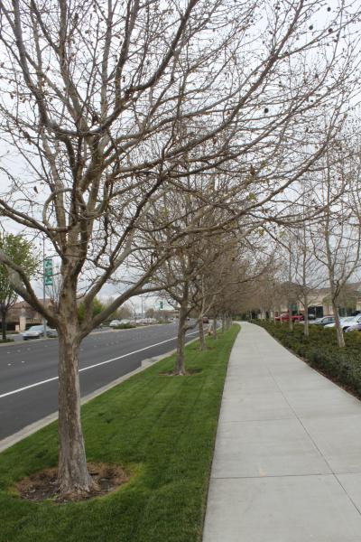 20120324-IMG_6747.jpg 20120324-IMG_6747.jpg