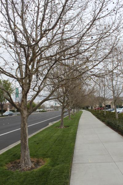 20120324-IMG_6748.jpg 20120324-IMG_6748.jpg