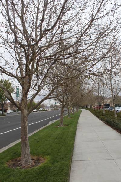 20120324-IMG_6750.jpg 20120324-IMG_6750.jpg