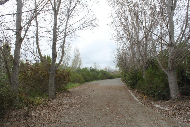 20120324-IMG_6752.jpg 20120324-IMG_6752.jpg