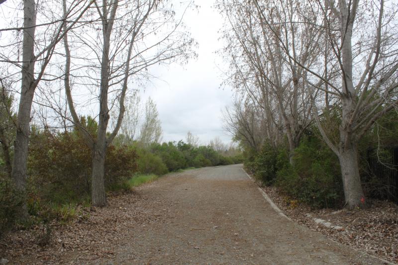 20120324-IMG_6757.jpg 20120324-IMG_6757.jpg