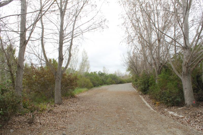 20120324-IMG_6760.jpg 20120324-IMG_6760.jpg