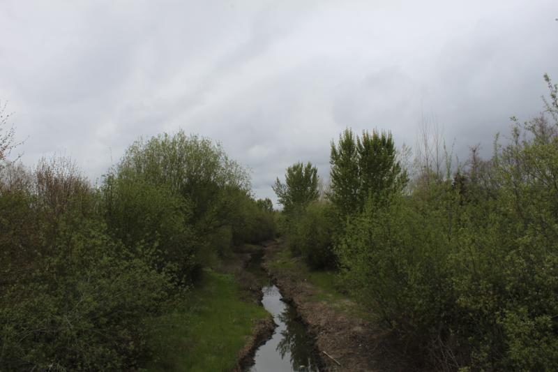 20120324-IMG_6765.jpg 20120324-IMG_6765.jpg