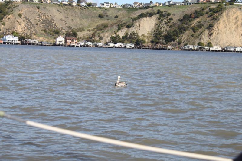 20120310-IMG_6598.jpg 20120310-IMG_6598.jpg