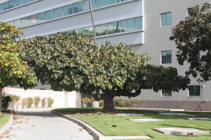 20121006-IMG_6834.jpg 20121006-IMG_6834.jpg