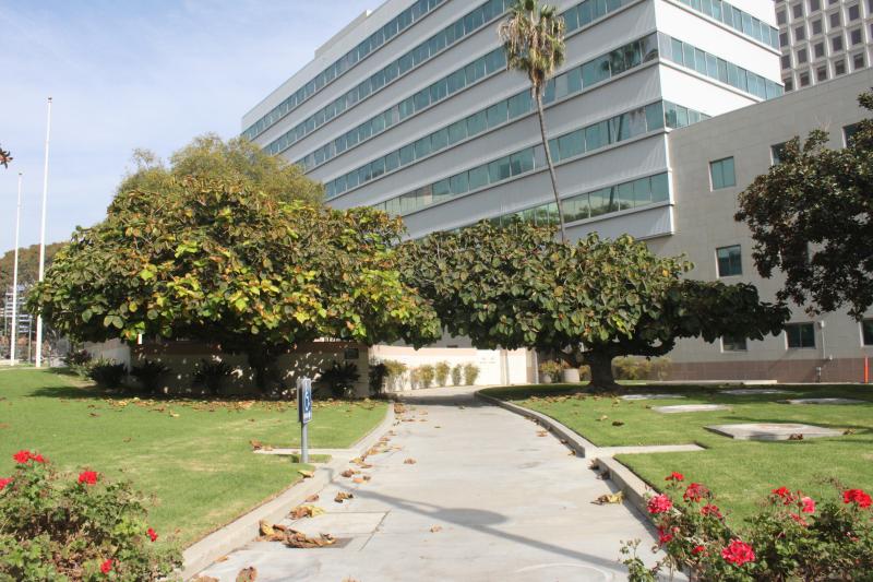 20121006-IMG_6835.jpg 20121006-IMG_6835.jpg