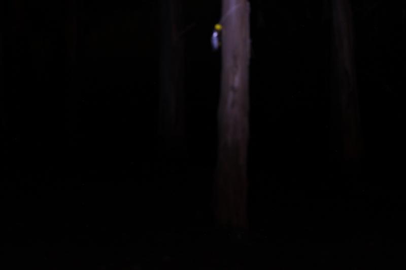 20121019-IMG_6978.jpg 20121019-IMG_6978.jpg