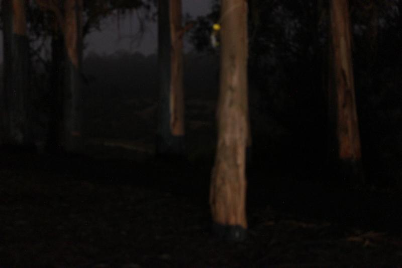 20121019-IMG_6982.jpg 20121019-IMG_6982.jpg