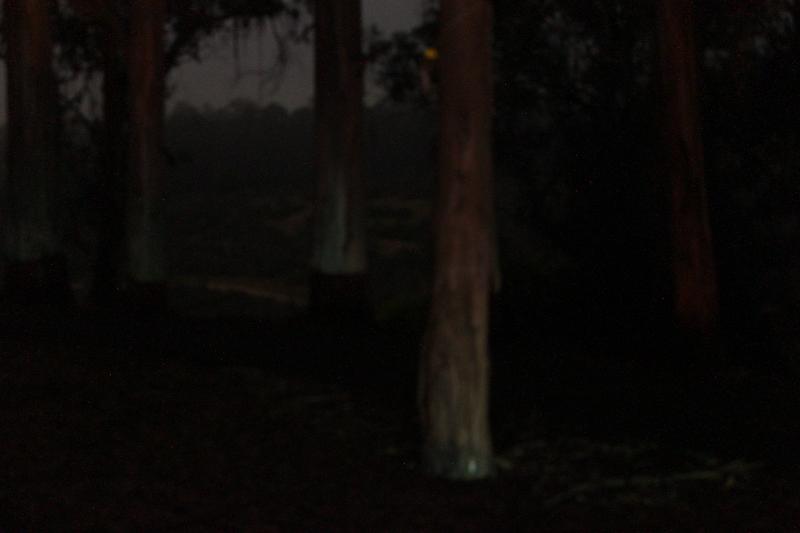 20121019-IMG_6983.jpg 20121019-IMG_6983.jpg