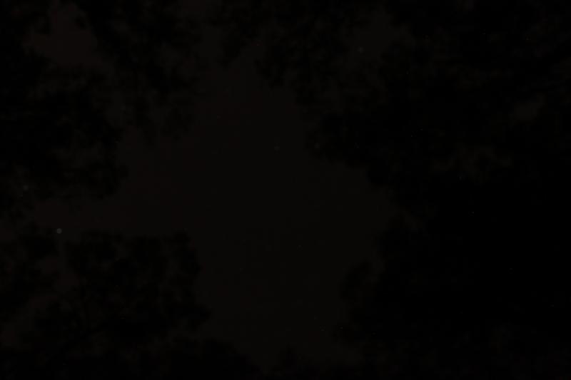 20121020-IMG_7005.jpg 20121020-IMG_7005.jpg