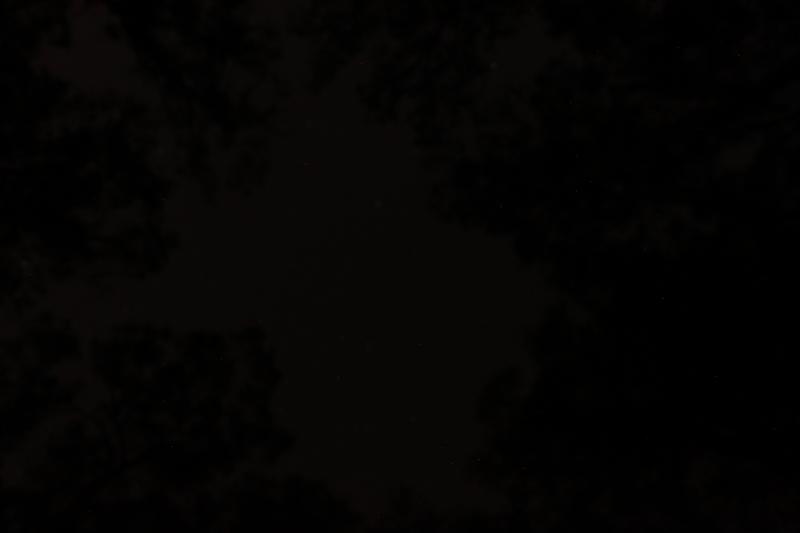 20121020-IMG_7013.jpg 20121020-IMG_7013.jpg