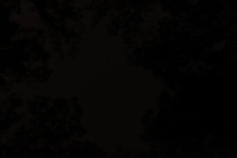 20121020-IMG_7014.jpg 20121020-IMG_7014.jpg