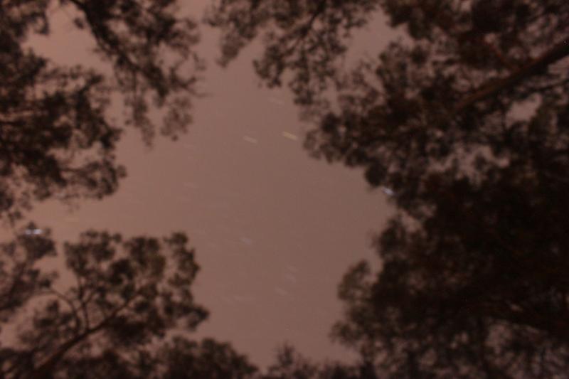 20121020-IMG_7017.jpg 20121020-IMG_7017.jpg