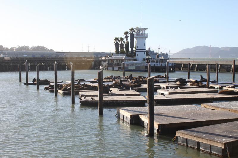 20130126-IMG_7252.jpg 20130126-IMG_7252.jpg