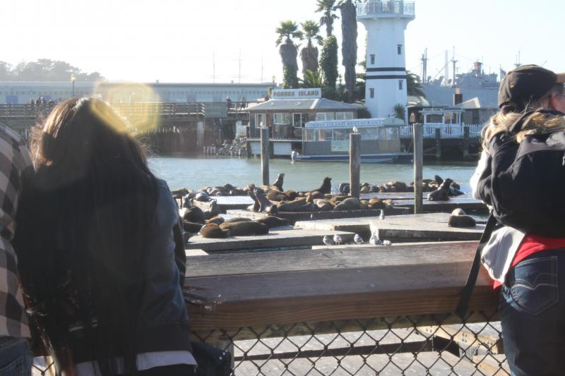 20130126-IMG_7266.jpg 20130126-IMG_7266.jpg