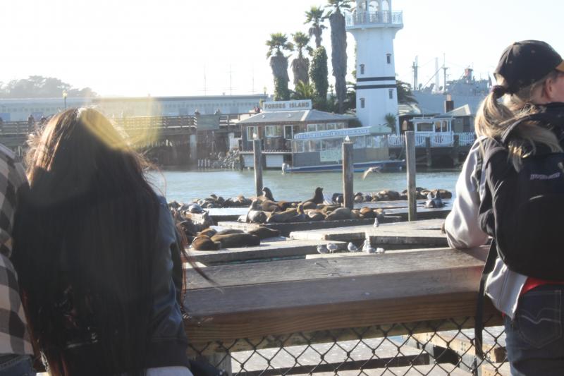 20130126-IMG_7267.jpg 20130126-IMG_7267.jpg