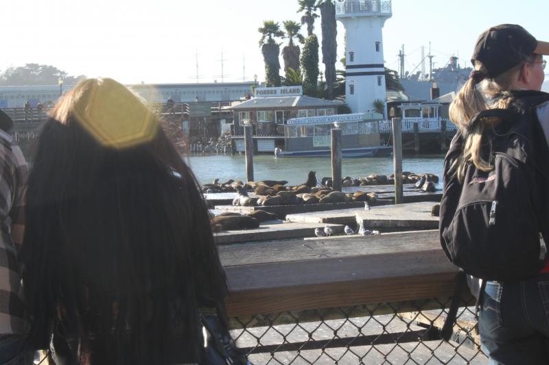 20130126-IMG_7269.jpg 20130126-IMG_7269.jpg