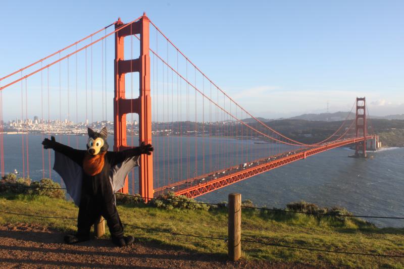 20130126-IMG_7352.jpg 20130126-IMG_7352.jpg