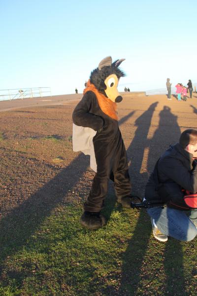 20130126-IMG_7367.jpg 20130126-IMG_7367.jpg