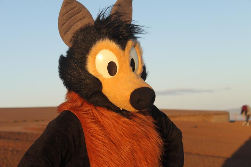 20130126-IMG_7369.jpg 20130126-IMG_7369.jpg