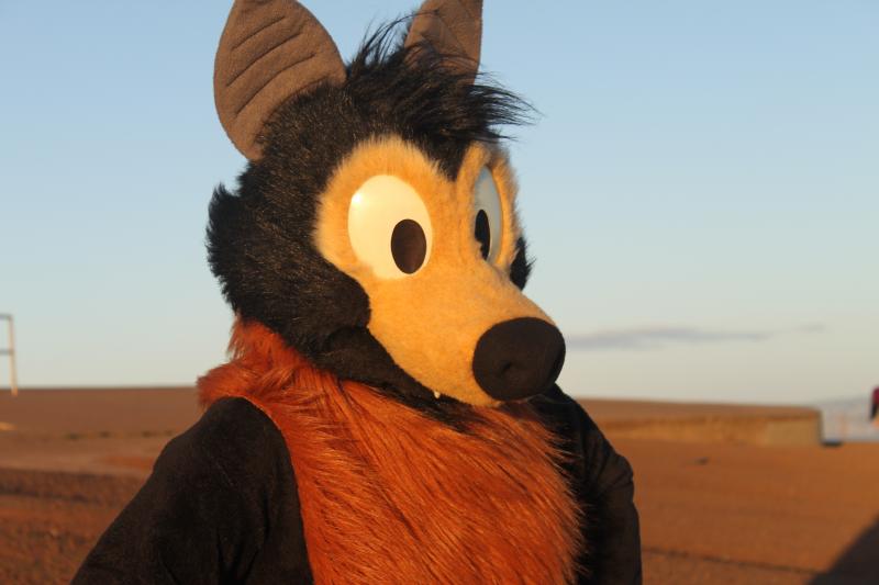 20130126-IMG_7370.jpg 20130126-IMG_7370.jpg