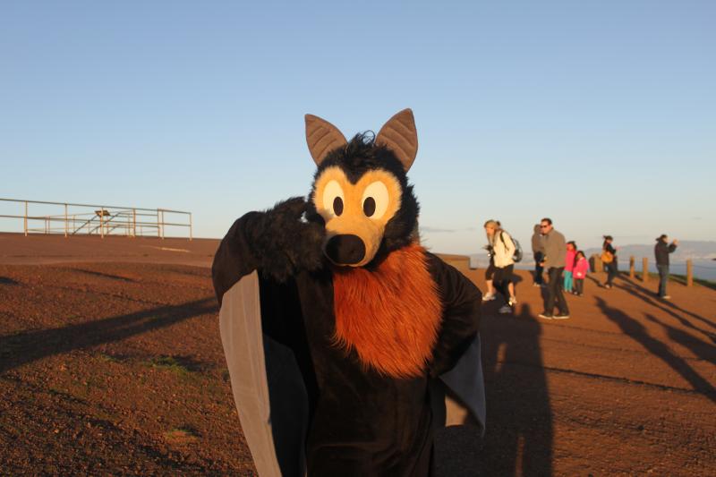 20130126-IMG_7373.jpg 20130126-IMG_7373.jpg