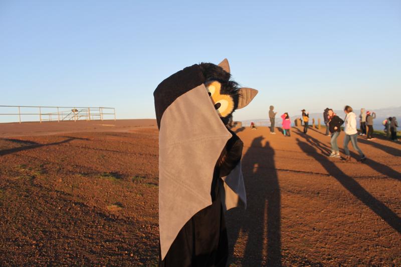 20130126-IMG_7375.jpg 20130126-IMG_7375.jpg