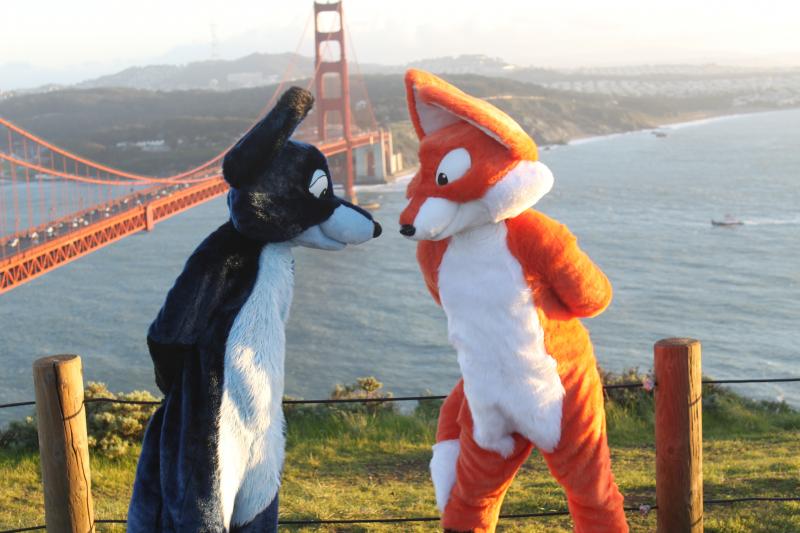 20130126-IMG_7379.jpg 20130126-IMG_7379.jpg