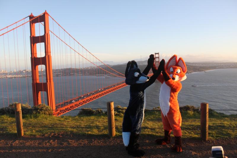 20130126-IMG_7382.jpg 20130126-IMG_7382.jpg