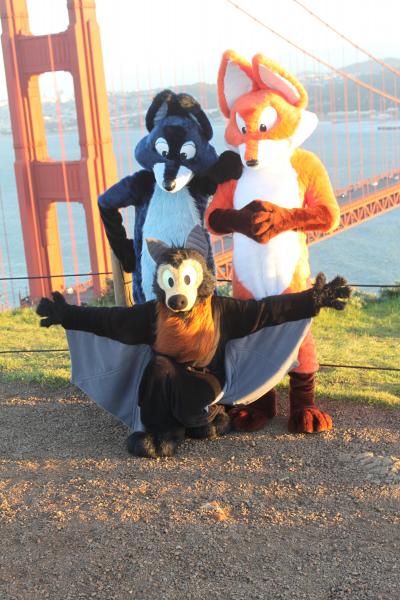 20130126-IMG_7388.jpg 20130126-IMG_7388.jpg