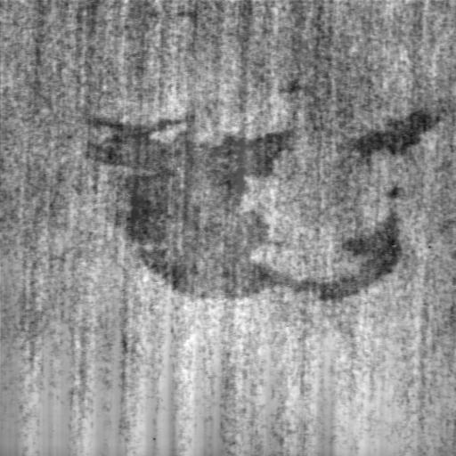 PETROLE-4.jpg PETROLE-4.jpg