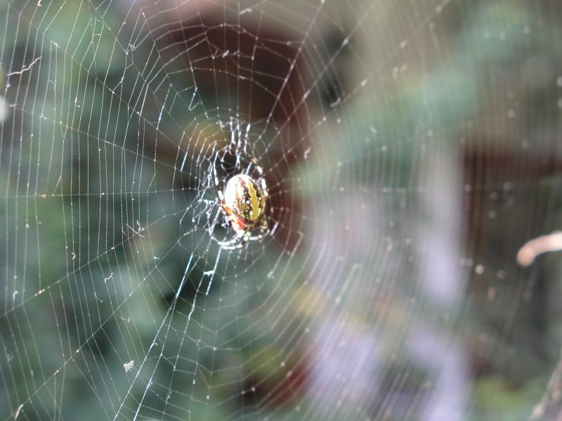 pc030361.jpg pc030361.jpg