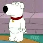 BrianPadded3.jpg BrianPadded3.jpg