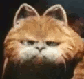 GarfieldHa.gif