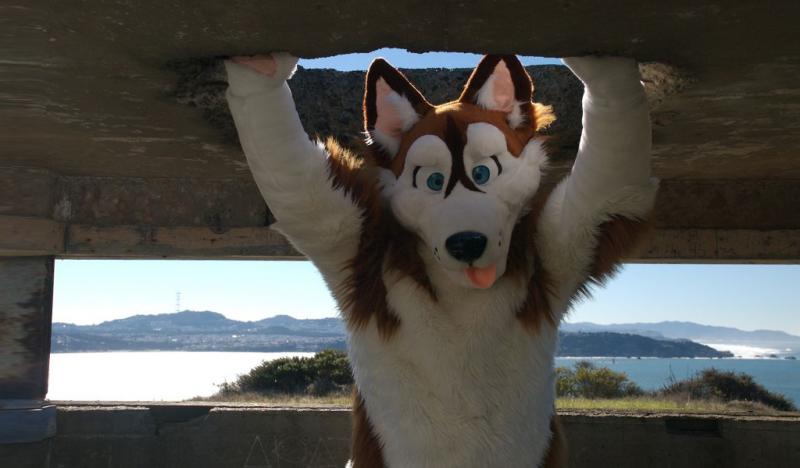 RussLogon-2.jpg RussLogon-2.jpg