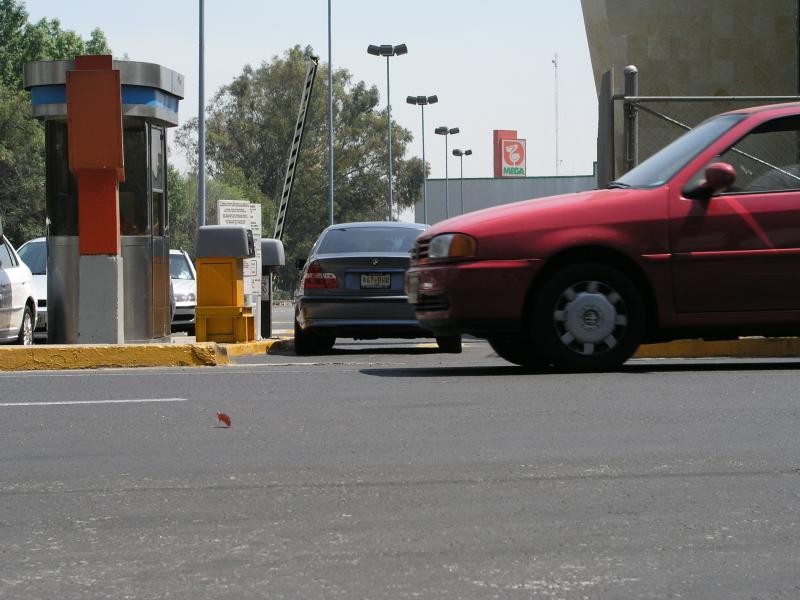 p3070113.jpg p3070113.jpg