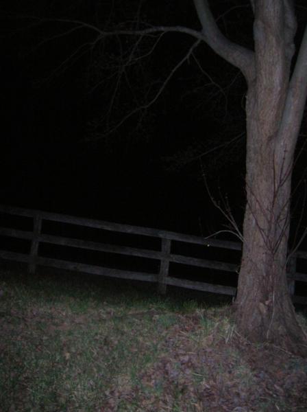 DSCN2646.jpg DSCN2646.jpg