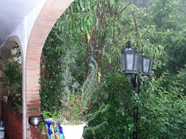 Hail01.jpg Hail01.jpg