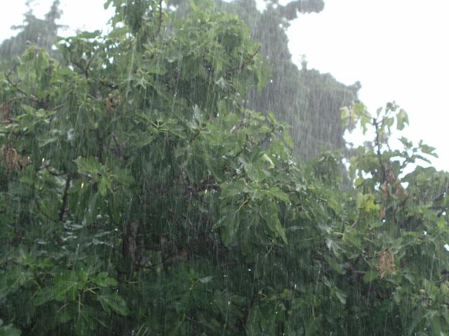 Hail06.jpg Hail06.jpg