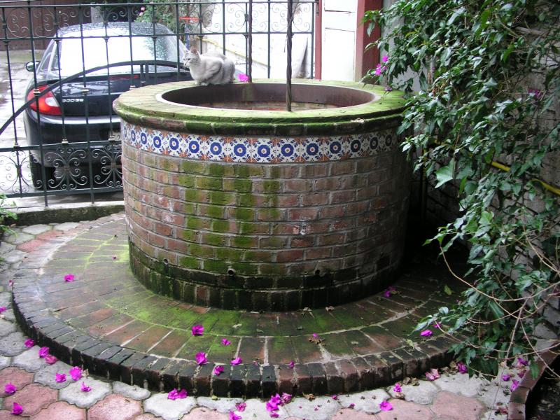 LimpiezaPozo01.jpg LimpiezaPozo01.jpg