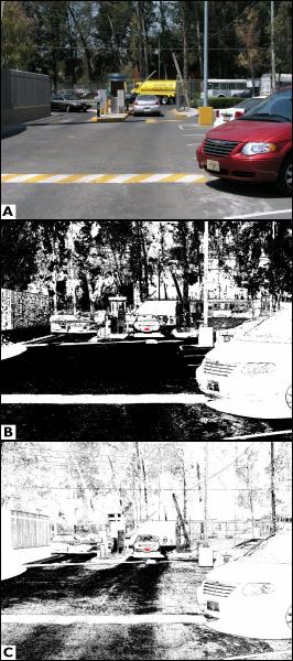 Thesis-success.jpg Thesis-success.jpg