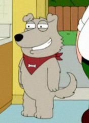 NewBrian.jpg NewBrian.jpg