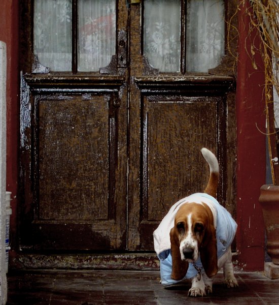 PeggyDoors.jpg PeggyDoors.jpg