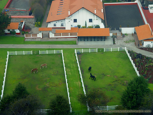 Potrero.jpg Potrero.jpg