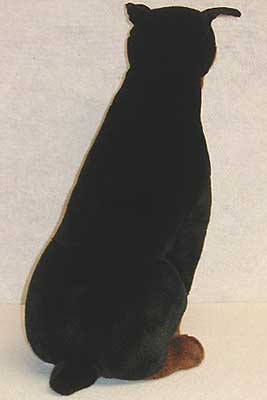 apolloback.jpg apolloback.jpg