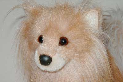 benitaface.jpg benitaface.jpg